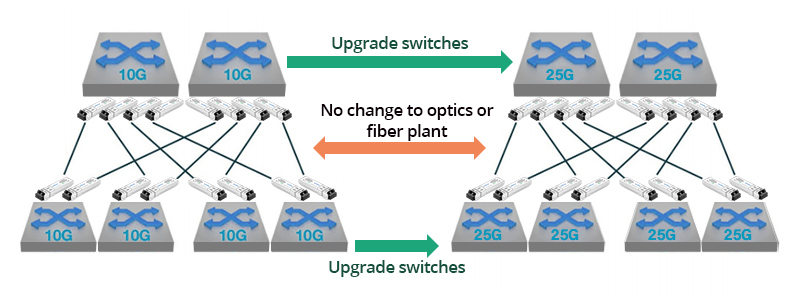 10G/25G dual-rate transceivers applied in 10G to 25G networks