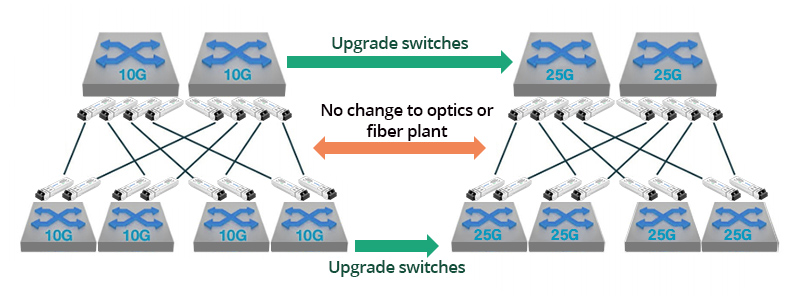 10G/25G dual-rate Modules Used in 10G to 25G Upgrades