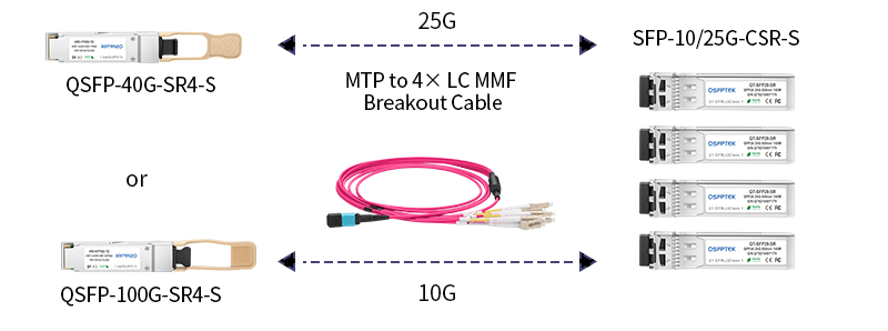 In-Depth Guide to SFP-10/25G-CSR-S Dual-Rate Transceiver - QSFPTEK Blog