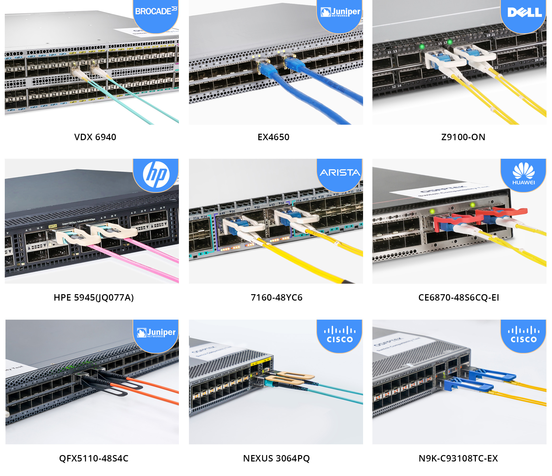 QSPFTEK LAB All Brands Switches Show