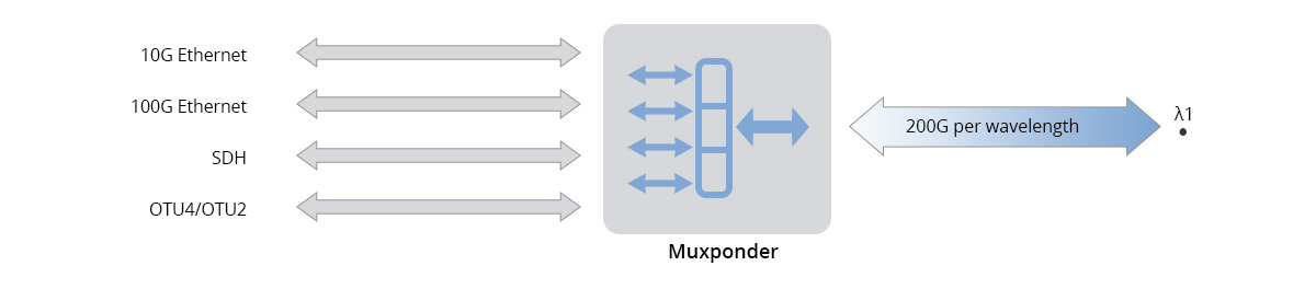 200G Muxponder