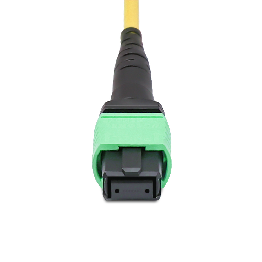 10m (33ft) MTP Female to 12 LC UPC Duplex 24 Fibers Type B Plenum (LSZH ...