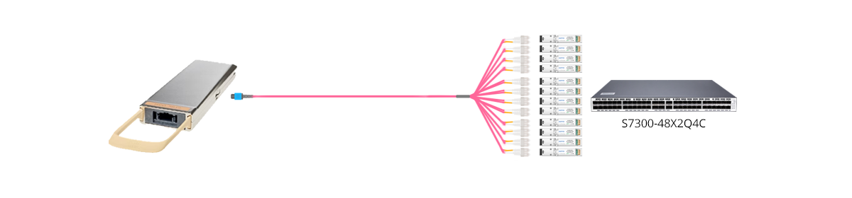 Connection 1: 24 Fibers MTP to 12xSC OM4 LSZH