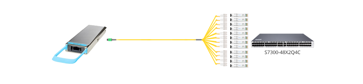 Connection 1: 24 Fibers MTP to 12xSC OS2 LSZH