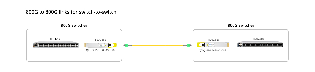 QT-QSFP-DD-800G-DR8 Scenario 1 800G to 800G Direct Connectivity