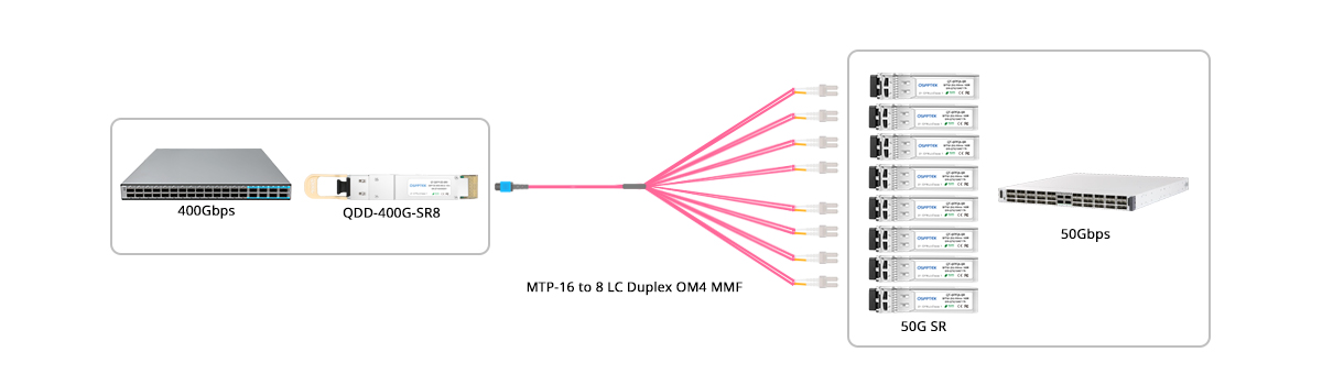 QT-QSFP-DD-SR8 Scenario 3 400G-SR8 to 8x 50G SR Breakout Connectivity