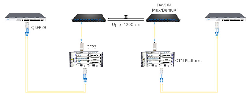 100G Coherent Solution