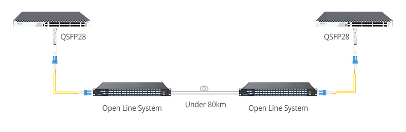 100G PAM4 DWDM Solution