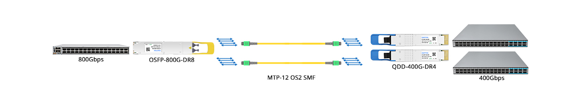 QT-QSFP-DD-DR4 Scenario 4 800G OSFP to 2x 400G-DR4 Breakout Connectivity