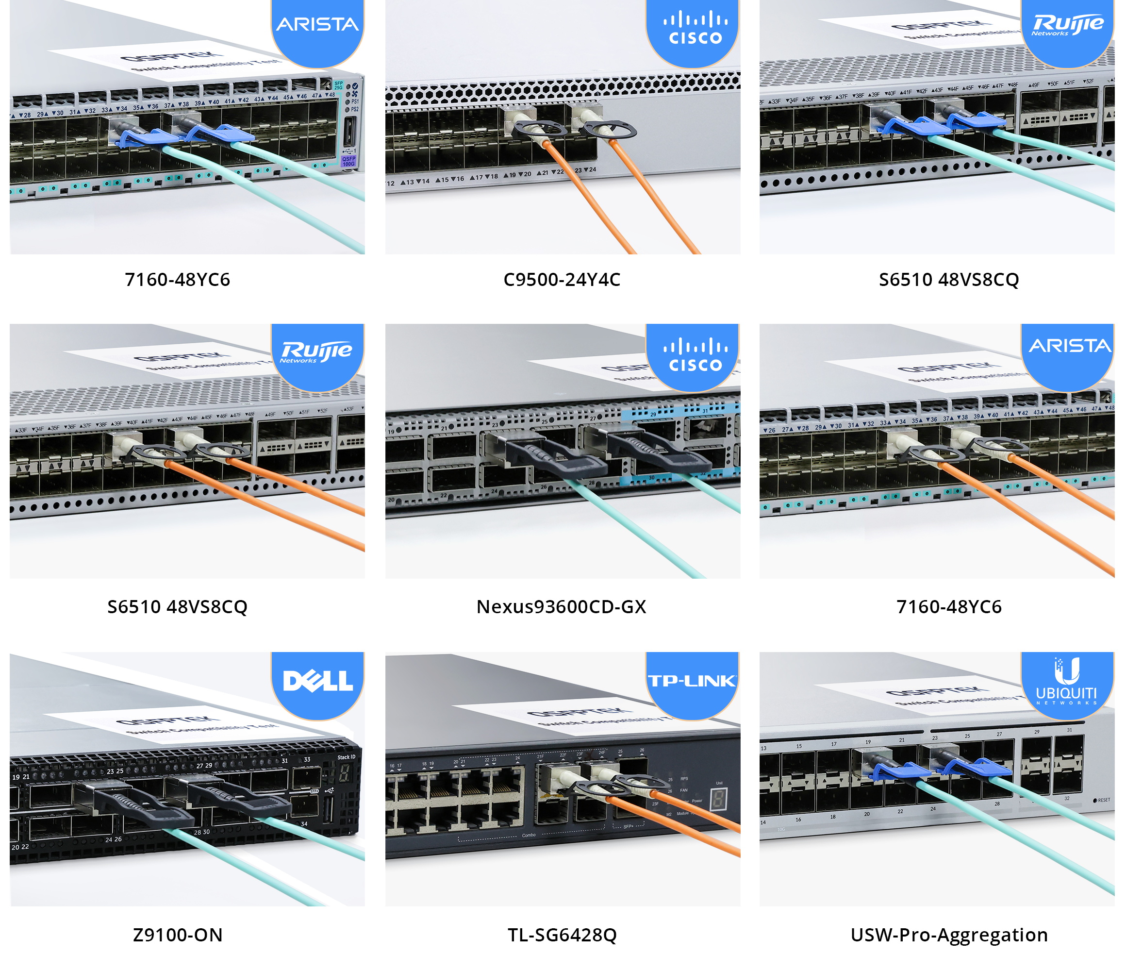 QSPFTEK LAB All Brands Switches Show