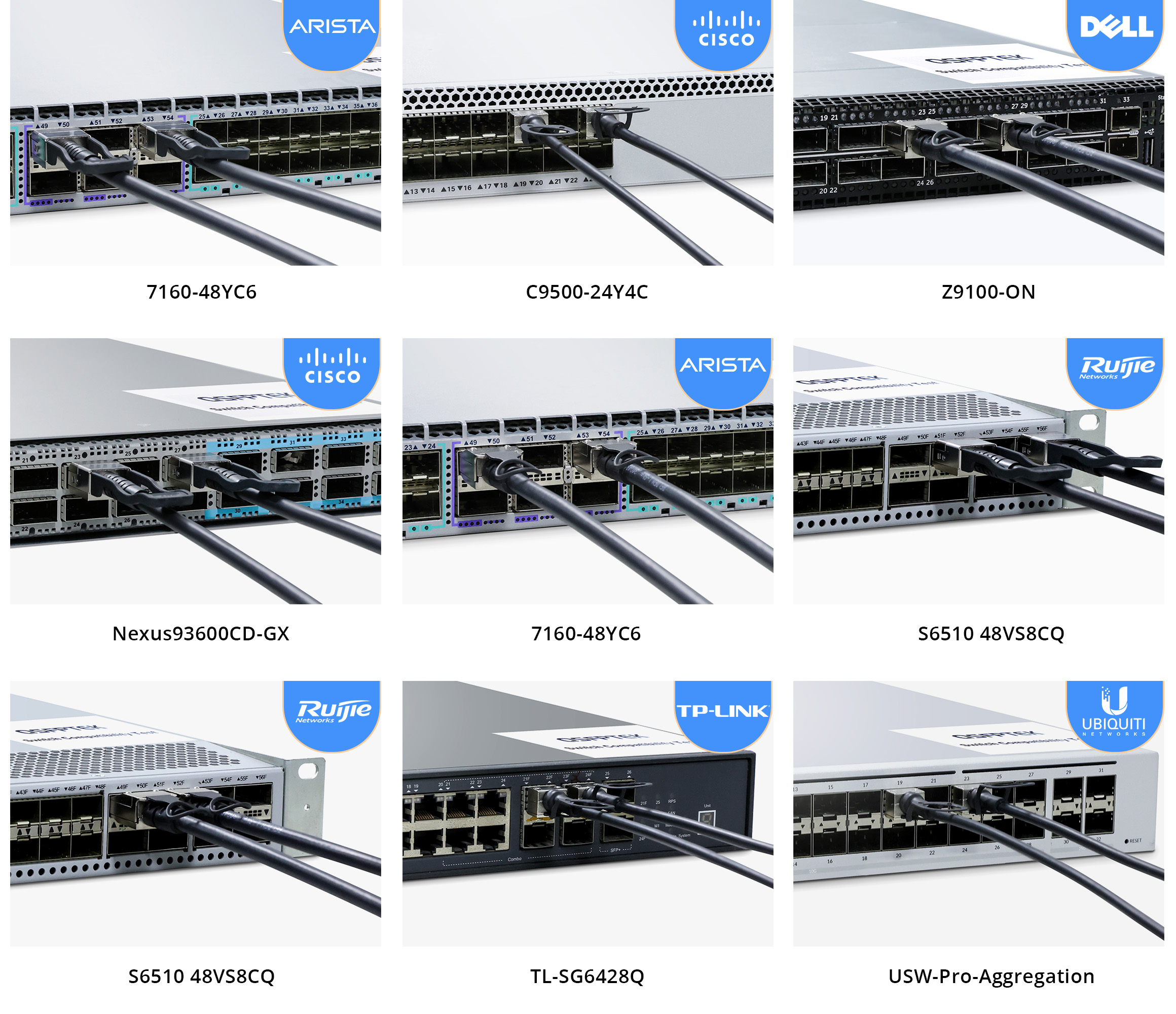 QSPFTEK LAB All Brands Switches Show