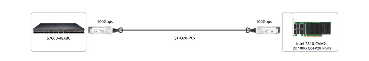 100G DAC NIC Direct Connectivity