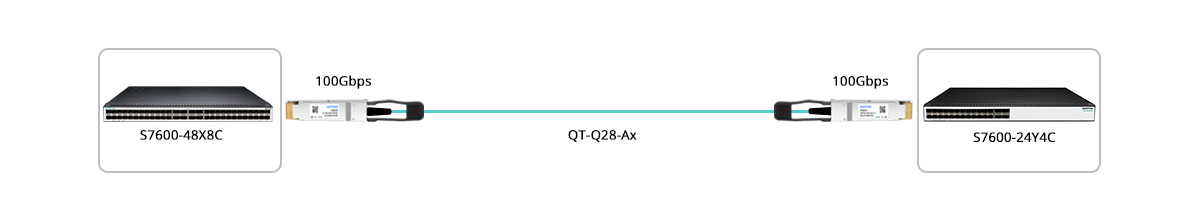 Connection 1: 100G Switch to 100G Switch Direct Connectivity