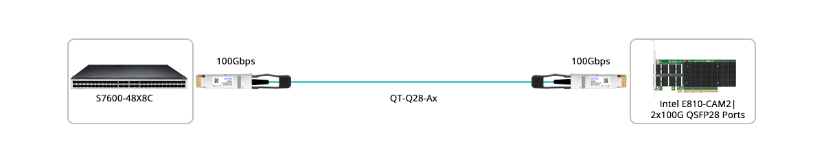 Connection 2: 100G Switch to 100G NIC Direct Connectivity