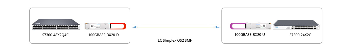 100G BIDI Connectivity 