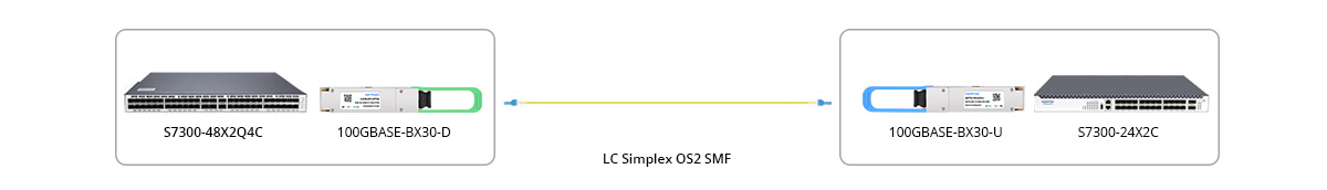 100G BIDI Connectivity 