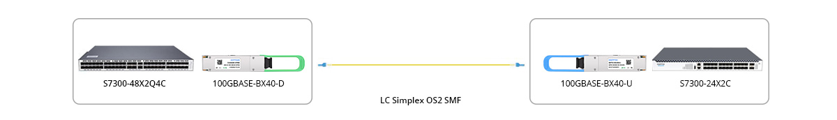 100G BIDI Connectivity 
