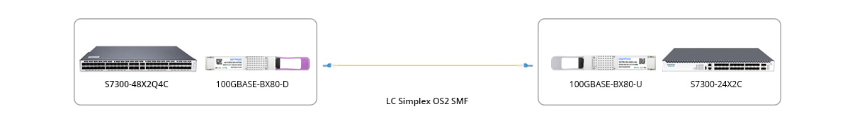 100G BIDI Connectivity 