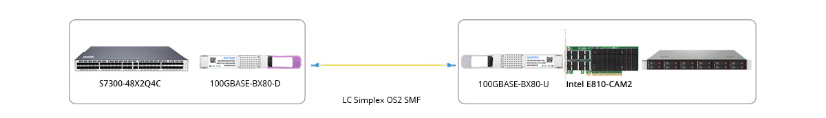 100G BIDI Connectivity With NIC