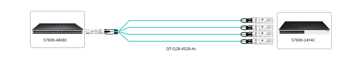 Connection 1: 100G to 4x 25G Breakout Connectivity