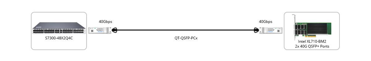 Connection 2: 40G Switch to 40G NIC Direct Connectivity