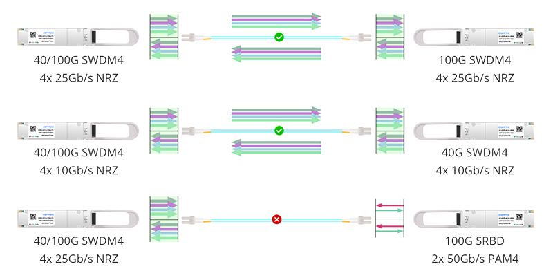 100G module connection