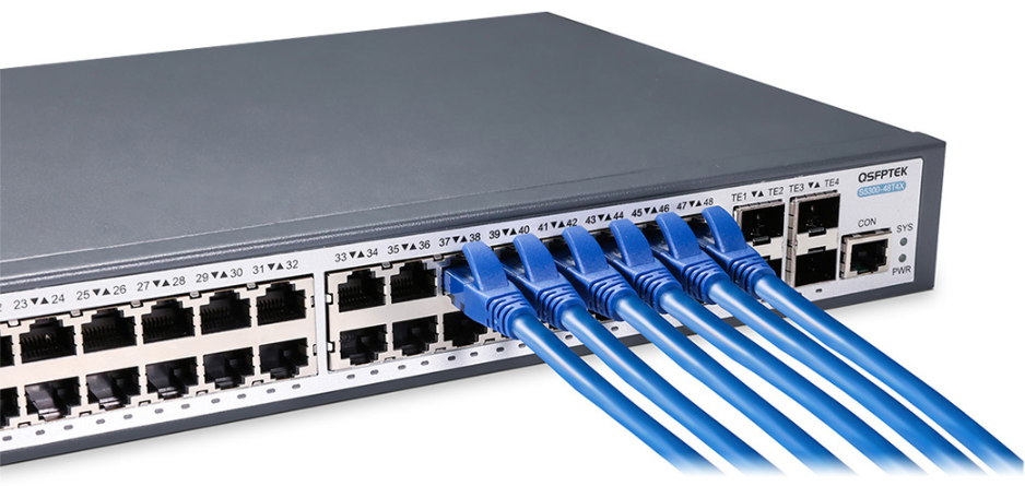 Cat6a cables on switch