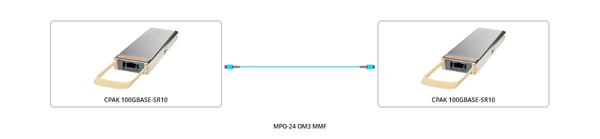 100G Direct Connectivity