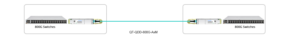 800G QSFP-DD AOC direct connectivity