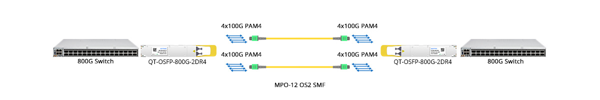 QT-OSFP-800G-2DR4 Scenario 1 800G to 800G Direct Connectivity