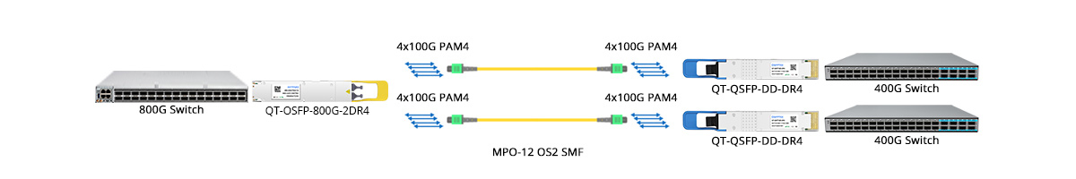 QT-OSFP-800G-2DR4 Scenario 2 800G to 2x 400GE Breakout Connectivity