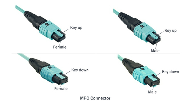  MPO Male and Female Connector
