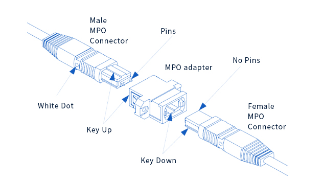 MPO Male or Female Connector