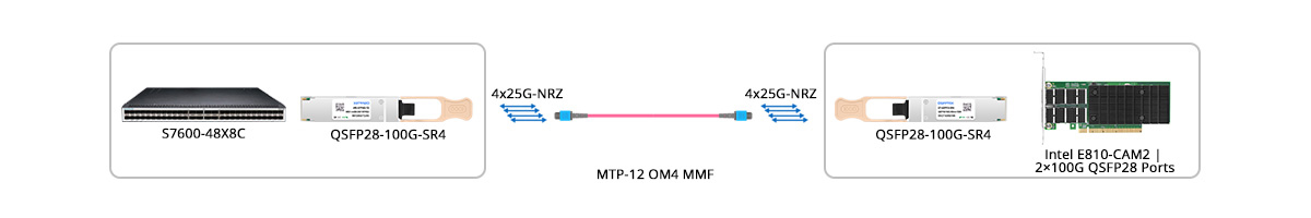QT-QSFP28-SR4 Scenario 2 100G Switch to 100G NIC Direct Connectivity