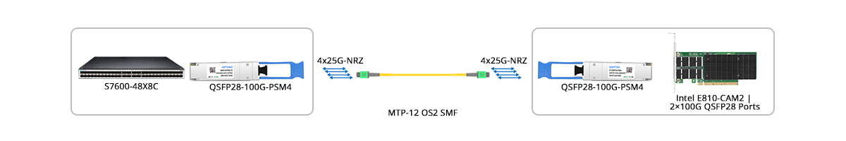QT-QSFP28-PSM4 Scenario 2 100G Switch to 100G NIC Direct Connectivity