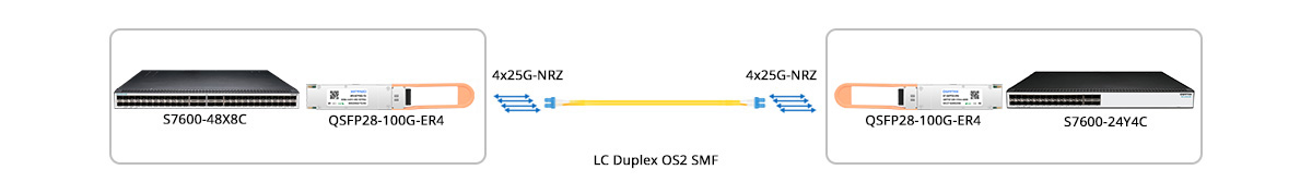 QT-QSFP28-ER4 Scenario 1 100G Switch to 100G Switch Direct Connectivity