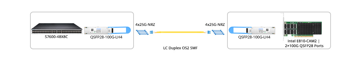 100G-LH4 NIC Direct Connectivity