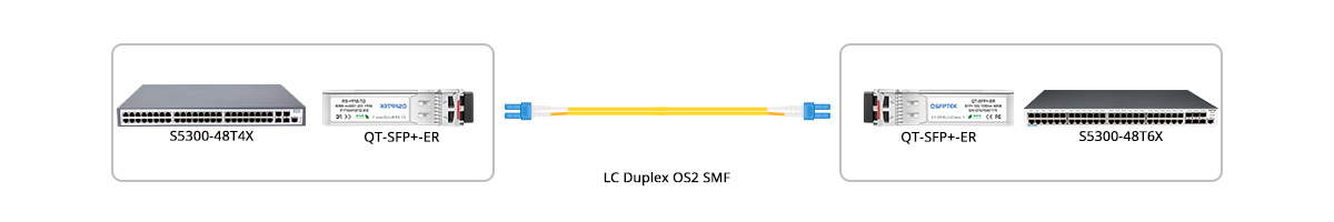 Metropolitan Area Network  Solution for 10G Gigabit Ethernet Switches