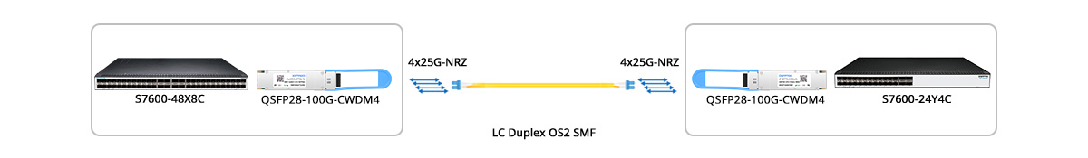 Scenario 1: 100G Switch to 100G Switch Direct Connectivity