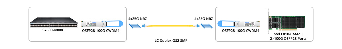 Scenario 2: 100G Switch to 100G NIC Direct Connectivity