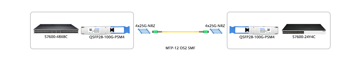 MTP to MTP fiber optic trunk cable