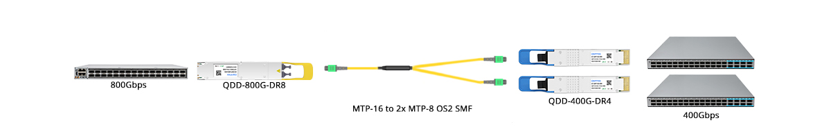 QT-QSFP-DD-DR4 Scenario 3 800G QSFP-DD to 2x 400G-DR4 Breakout Connectivity