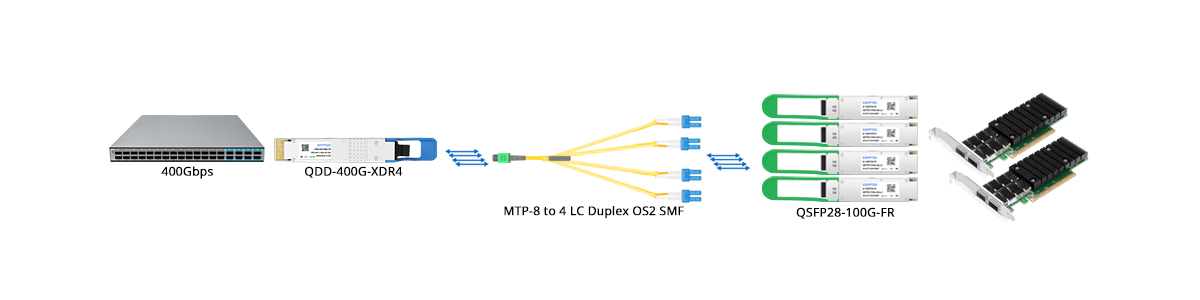 QT-QSFP-DD-XDR4 Scenario 2 400G to 4x 100GE Breakout Connectivity
