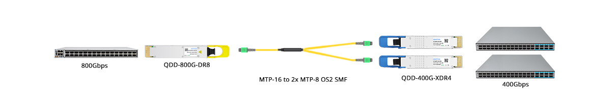 QT-QSFP-DD-XDR4 Scenario 3 800G to 2x 400GE Breakout Connectivity