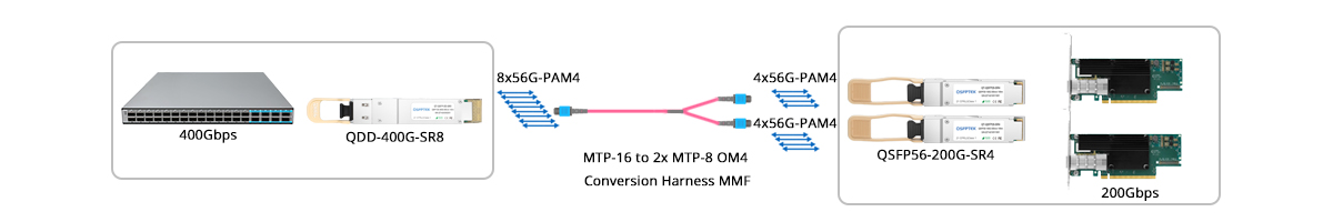 QT-QSFP-DD-SR8 Scenario 2 400G-SR8 to 2x 200G-SR4 Breakout Connectivity