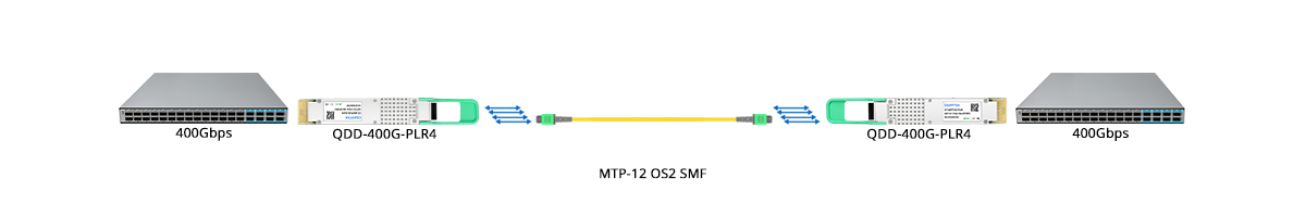 QT-QSFP-DD-PLR4 Scenario 1 400G to 400G Direct Connectivity
