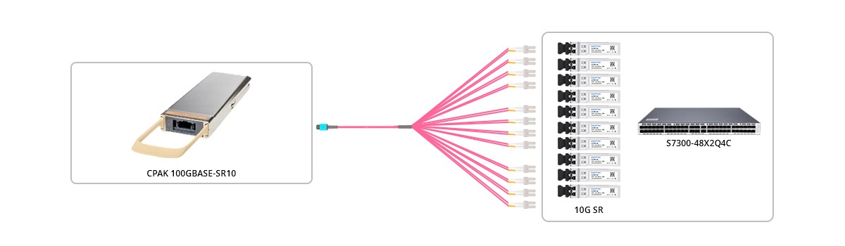 Connection 1: MTP-24 UPC (Female) to 12x LC UPC Duplex OM4