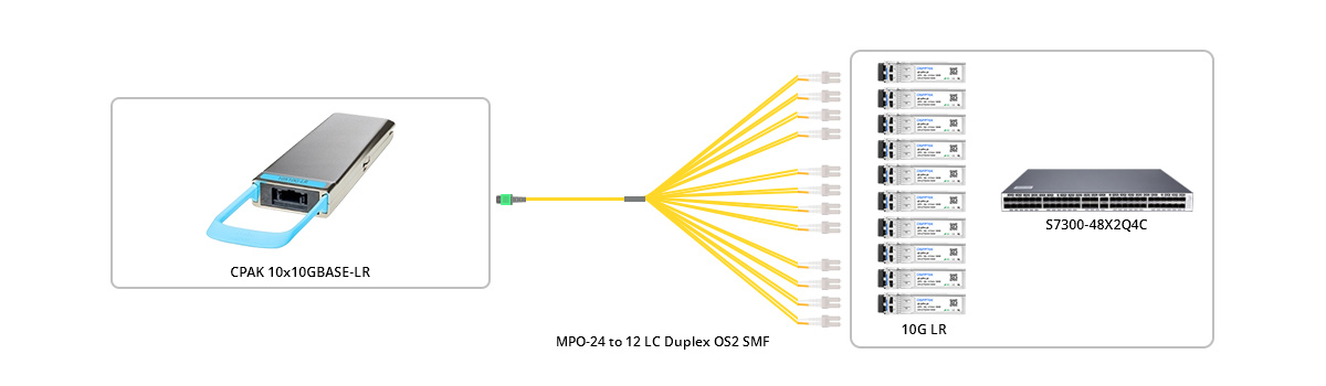 Connection 1: MPO-24 APC (Female) to 12x LC UPC Duplex OS2