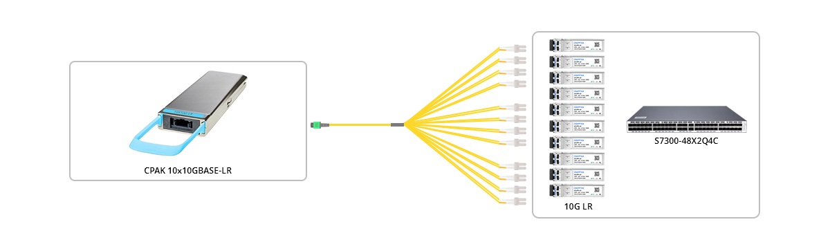 Connection 1: 24 Fibers MTP to 12xLC OS2 LSZH