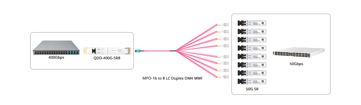Connection 1: 400G-SR8 to 8x 50G SR Breakout Connectivity